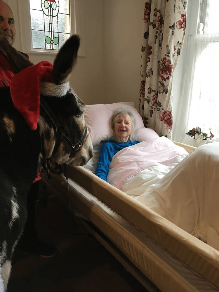 HOME RESPITE CARE